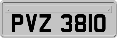 PVZ3810