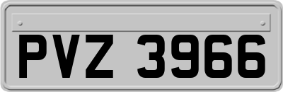 PVZ3966