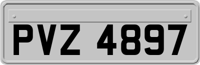 PVZ4897
