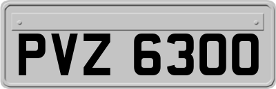 PVZ6300