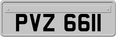 PVZ6611