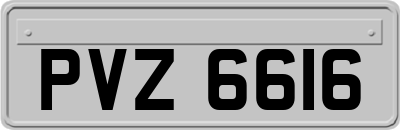 PVZ6616