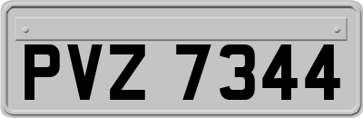 PVZ7344