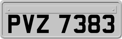 PVZ7383