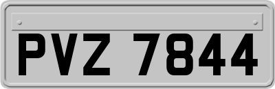 PVZ7844