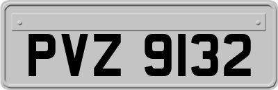 PVZ9132