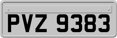 PVZ9383