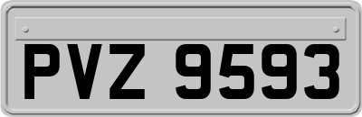 PVZ9593