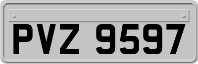 PVZ9597