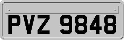 PVZ9848