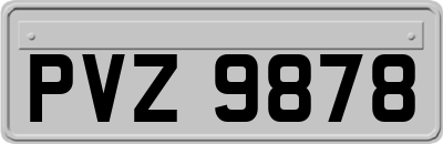 PVZ9878
