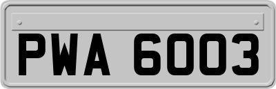 PWA6003