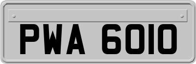 PWA6010