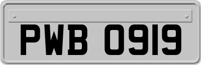 PWB0919