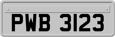 PWB3123