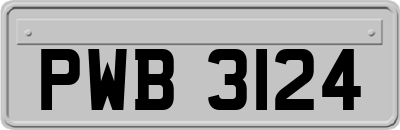 PWB3124