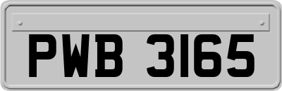 PWB3165