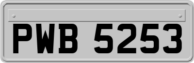 PWB5253