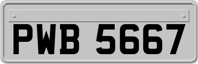 PWB5667