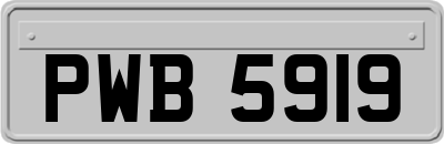 PWB5919