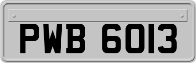 PWB6013