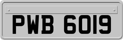 PWB6019