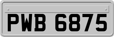 PWB6875