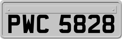 PWC5828