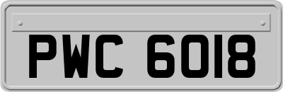 PWC6018