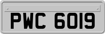 PWC6019