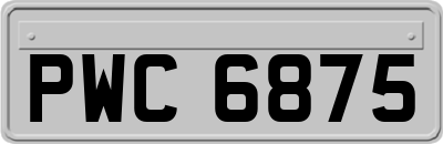 PWC6875
