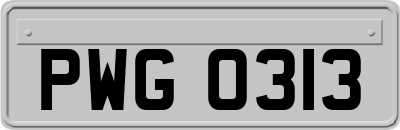 PWG0313