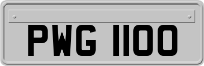 PWG1100