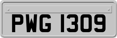 PWG1309