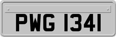 PWG1341