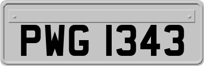 PWG1343