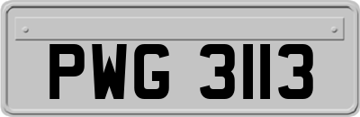 PWG3113