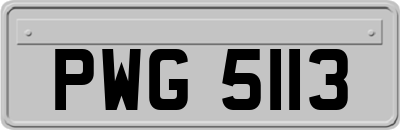 PWG5113