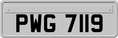 PWG7119