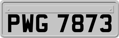 PWG7873