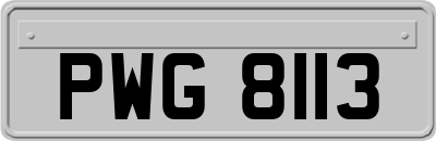 PWG8113