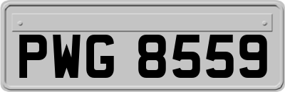 PWG8559