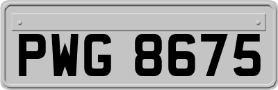 PWG8675