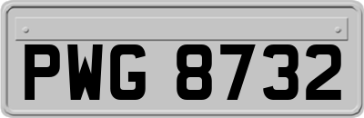 PWG8732