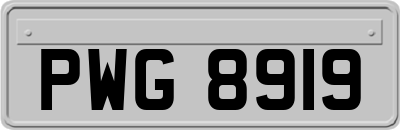 PWG8919