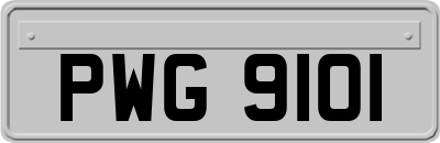 PWG9101