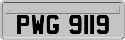 PWG9119