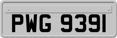 PWG9391