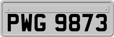 PWG9873