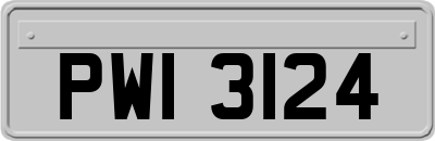 PWI3124